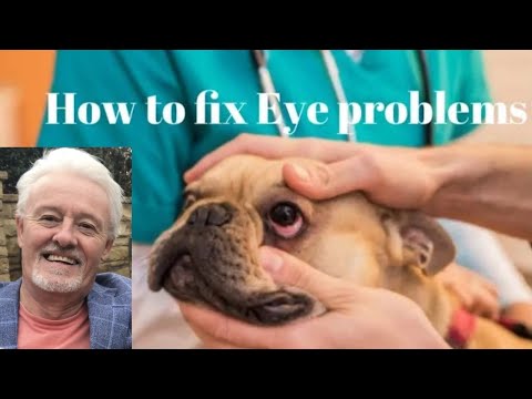 Fix Eye stains, watery, dry and red issues in dogs