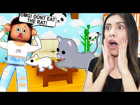 My Cat Tried To Eat My Pet Rat Roblox Adopt Me Lunar Update Youtube - cat and rat rp roblox