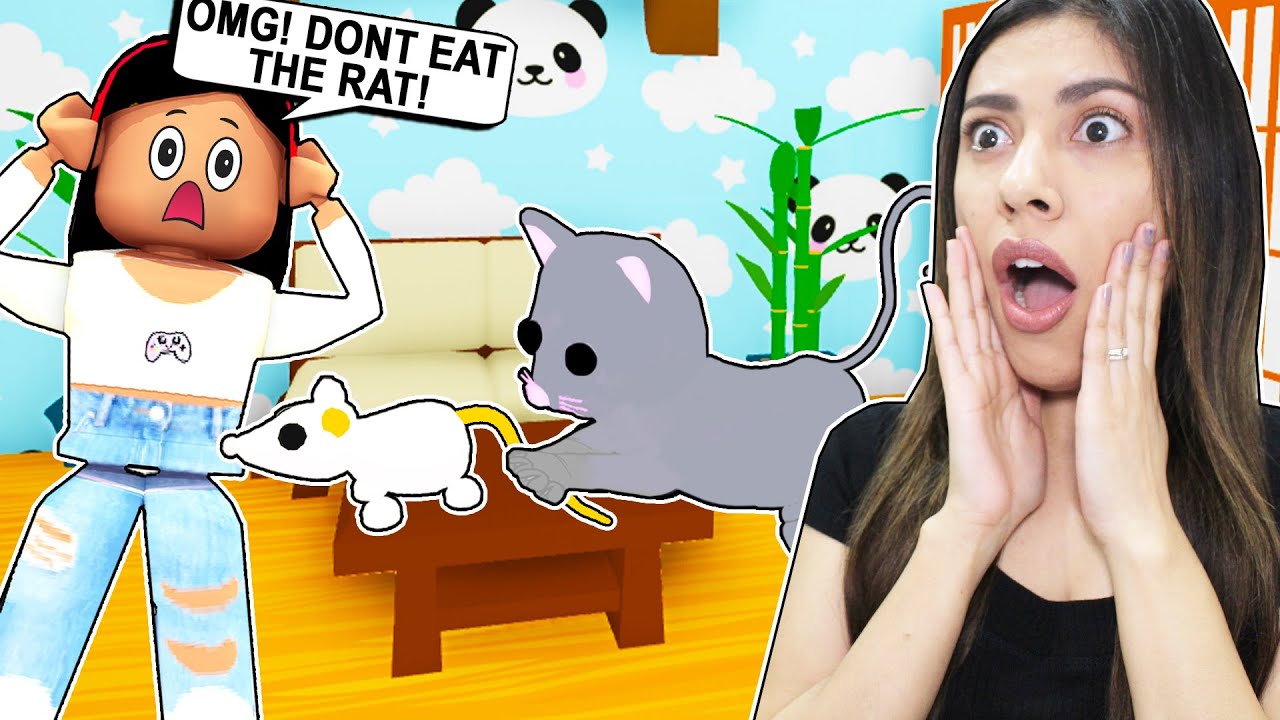 My Cat Tried To Eat My Pet Rat Roblox Adopt Me Lunar Update Youtube - cat and rat rp roblox