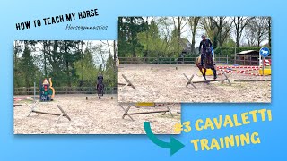 HOW TO TEACH YOUR HORSE GYMNASTICS || #3 CAVALETTI EXERCISE 🏋🏼😁