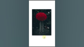 CSS 3d Flip Card Hover Effects #shorts