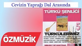 Cevizin Yaprağı Dal Arasında - Türkü Şenliği 5  Resimi