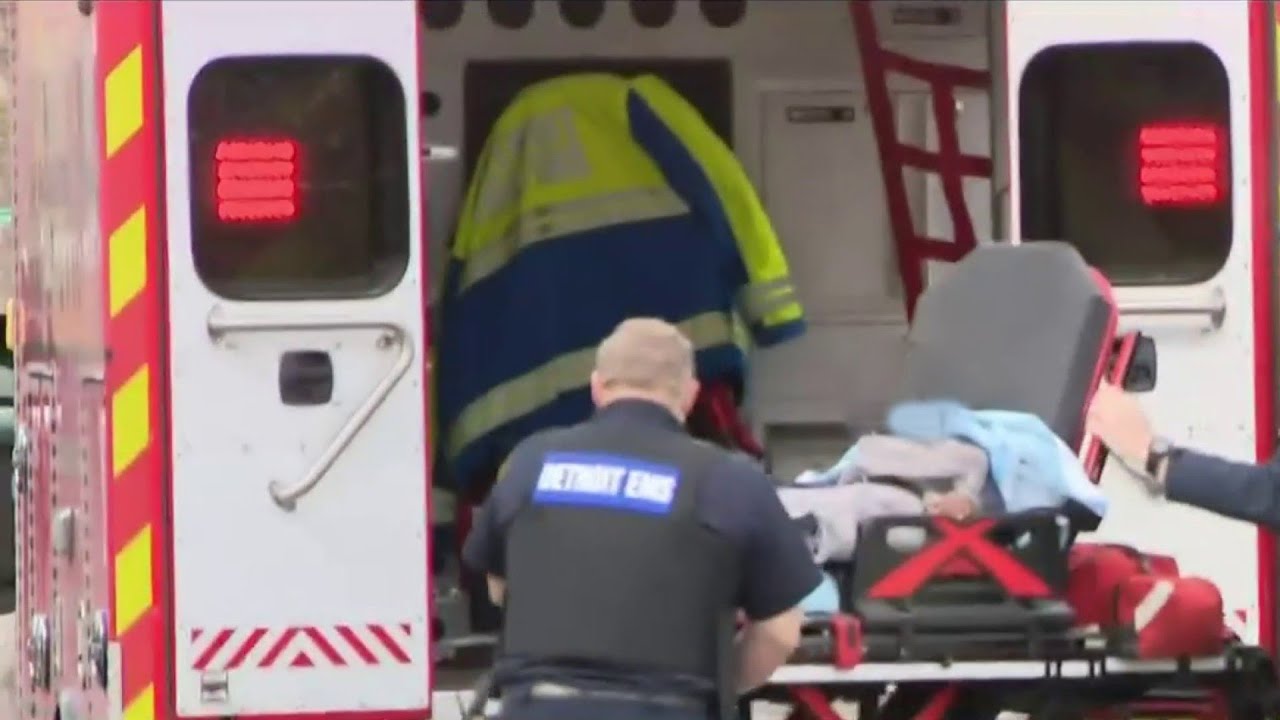 Missing 2-year-old boy found wearing winter coat under leaves in ...