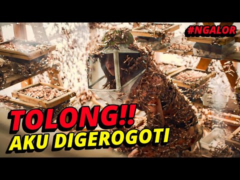 Video: Apakah belalang akan memakan daging?