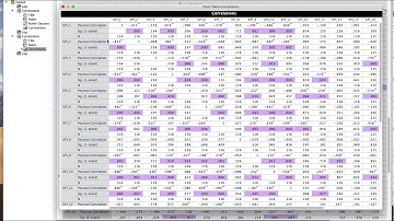 SPSS Correlation Tables - highlight cells and resize