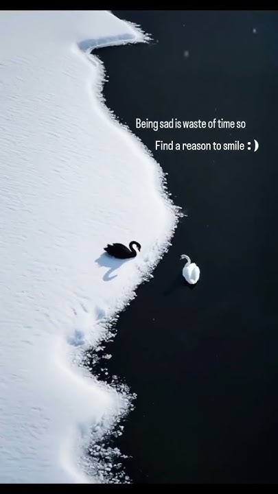Being Sad Is Waste Of Time So Find A Reason shorts motivation being-sad-is-waste-of-time-so-find-a-reason-shorts-motivation