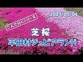 二人で行くシリーズ　～　平田村ジュピアランドの芝桜