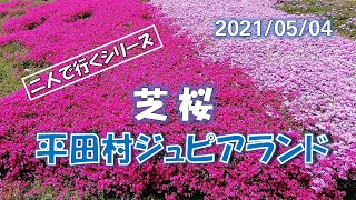 二人で行くシリーズ　～　平田村ジュピアランドの芝桜