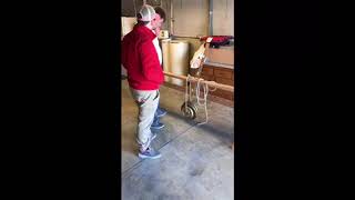 MET 211 Project 2 Beam Deflection