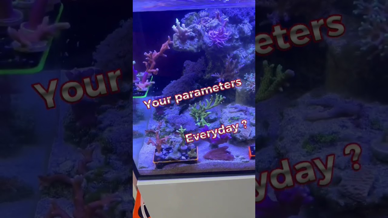 Do you test your parameters everyday? 