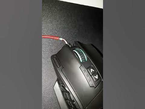 Wer will eine Maus haben? - YouTube