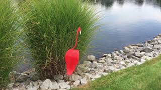 Florida Dancing Birds Watermelon Flamingo Garden Art