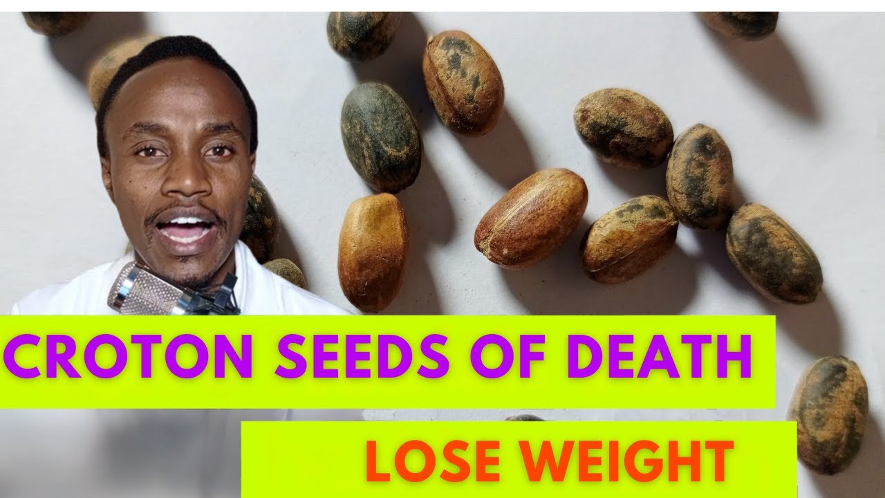 WARNING: Croton Seeds for Weight Loss? The Shocking Dangers of This