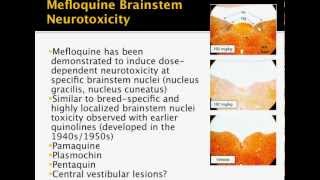 Mefloquine Presentation by Dr. Remington Nevin
