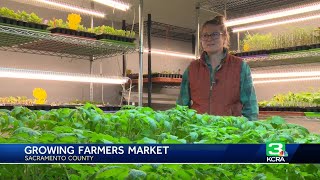 Sacramento's Midtown Farmers Market to debut 10th season with more vendors than ever
