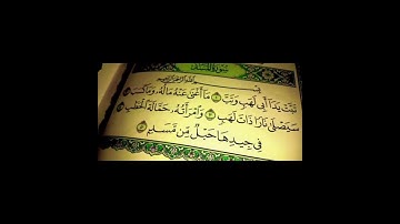 سورة المسد بصوت القارئ هزاع البلوشي | Surat Al-Masad Haza3 albloshy