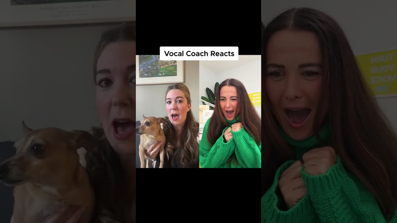 Tonton @thepamquinn on Tiktok My Dog Does the Same Thing 😂 di YouTube Tonton @thepamquinn on Tiktok My Dog Does the Same Thing 😂 di YouTube