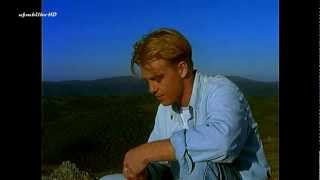 JASON DONOVAN - Too Many Broken Hearts (HD 1080p)