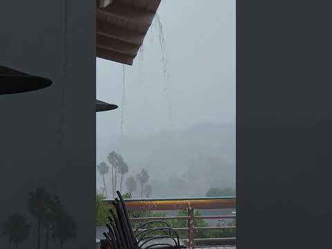 HURRICANE HILARY - SAN DIEGO 8/20, 3:15pm