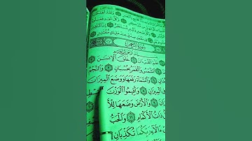 ماهر المعيقلي _القرآن الكريم _سورة الرحمن