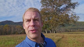 🔥SAVINGS HIGHWAY GLOBAL REVIEW 2026 - IS IT THE BEST AUTOPILOT MLM?