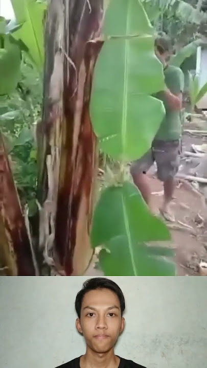 Eits gak kena #videolucu #memes
