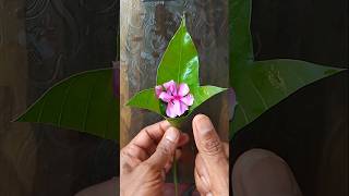how to make little bouquet from leaf 🌿| patta se cute guldasta kaise banaye #handmade #short #diy❤️💚