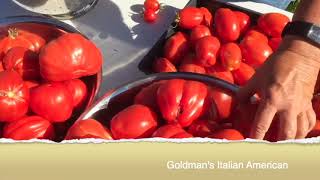 Paste Tomato Varieties