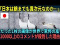 【海外の反応】「日本は地球ではない...」日本の鶴の写真が世界中に拡散され唖然の声...