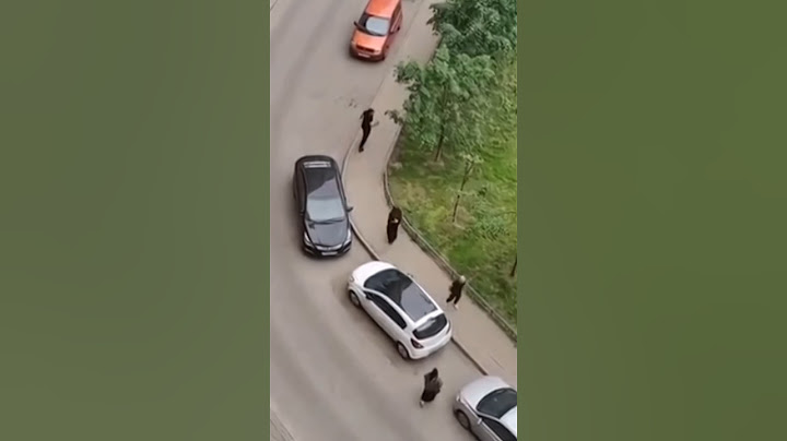 Исламу Вагабову грозит новый срок! #Shorts #Ислам #Вагабов #потасовка