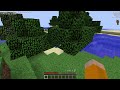playing minecraft