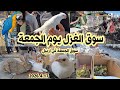 سوق الغزل يوم الجمعة انواع الحيوانات والطيور مع الاسعار 17 ابريل 2026 سوق الجمعة باربيل