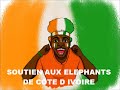 Soutien aux éléphants de côté d