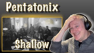 Pentatonix - Shallow (FIRST TIME HEARING)
