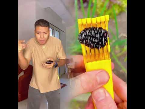 لك صفحتك الرئيسية مضحك كوميديا  قصير مرح