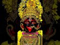 জয় শ্যাম সুন্দরী মা 🪔 মা তুমি সকলকে মঙ্গল করো 🙏🙏🪔🙏🙏