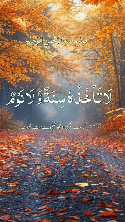 Aytul kurse heart touching telawat surah baqra Best recitation telawat Quran