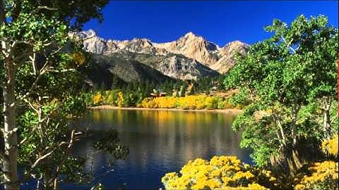 محمد البراك :: سورة الدخان + تحميل Mp3