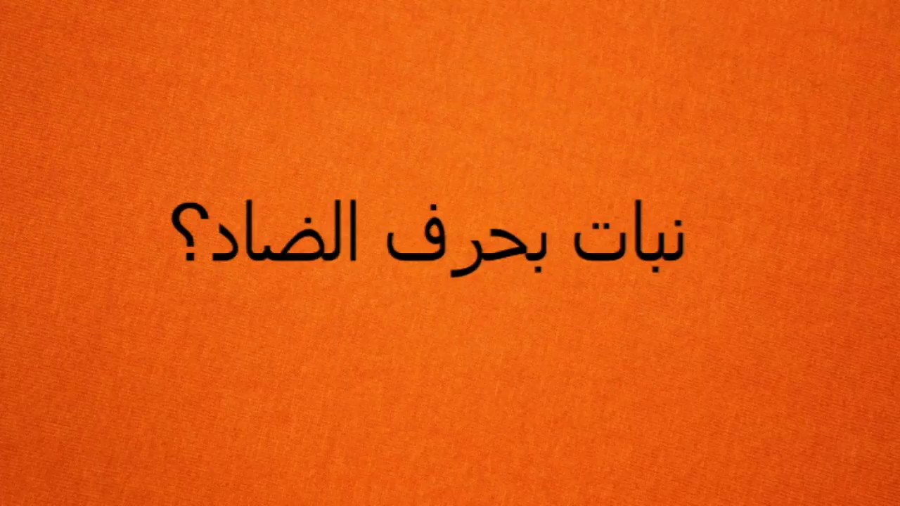 مصنع بحرف د يوتيوب