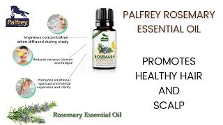 Palfrey Natural Rosemary Essential Oils for Hair Growth- 15 ml | 100% Pure Undiluted, Natural