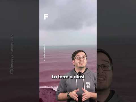 Il a plu du sang en Iran !