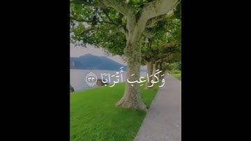 تلاوة عراقية (ان للمتقين مفازا،حدائق واعنابا) سورة النبأ اية ٣١_٣٤ القارئ ملا نامق مصطفى