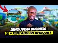 Arrtez de constuire en afrique faites plutt ce business rentable 