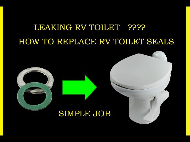 EASY RV Toilet Seal Replacement - Thetford RV Toilet 