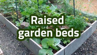 Raised garden beds easy way