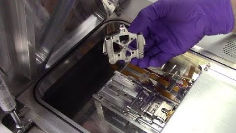 FEI SEM Sample Loading