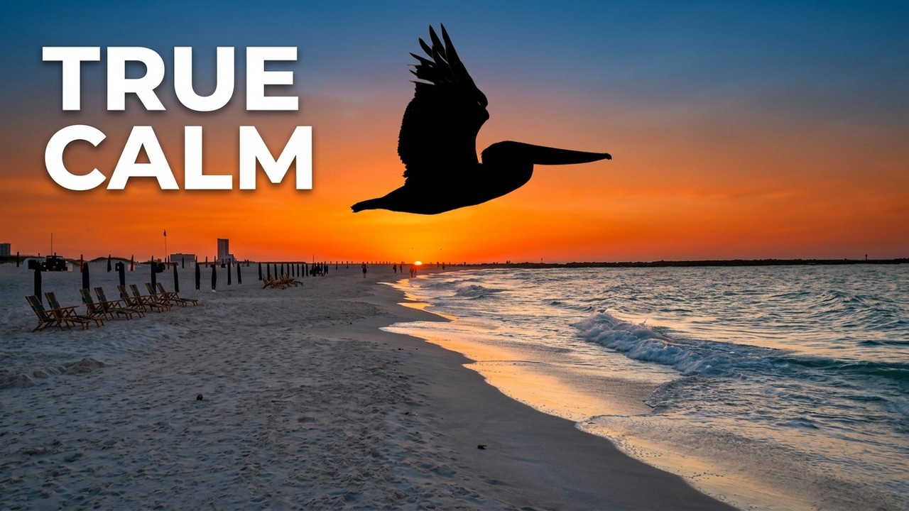VLOG: The Real Reason We Love the Beach