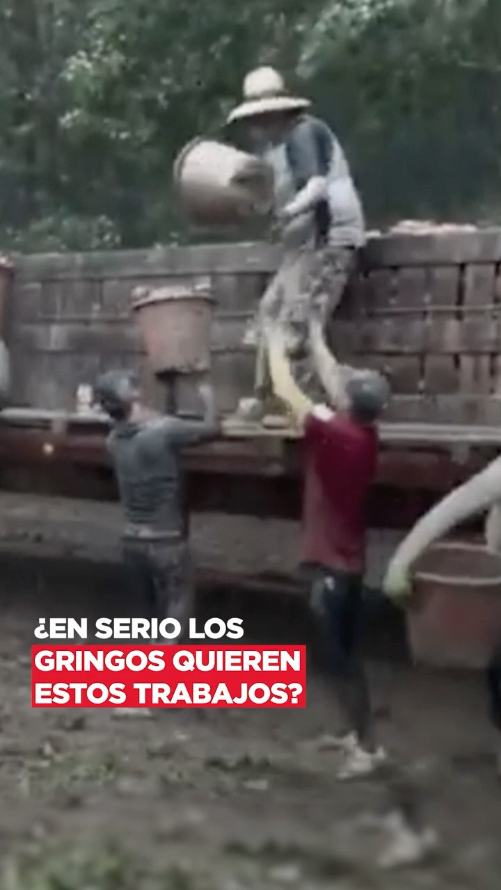 ¿Enserio los gringos quieren estos trabajos?