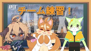 【APEX】大会練習！#2【戌井アキ】