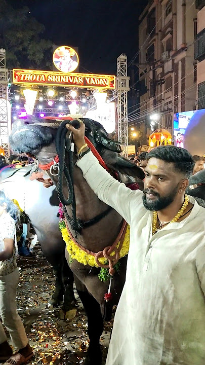 Sadar Festival In Hyderabad 2025 | Kothapet Sadar 2025.   #sadar #yadav #sadarfestival #sadar2025